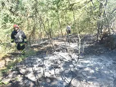 Incendi a Vittorio Veneto