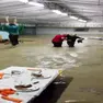 Un fermo immagine del video che immortalò la furia del Lierza nel capannone della festa