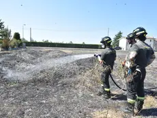 L'intervento dei vigili del fuoco