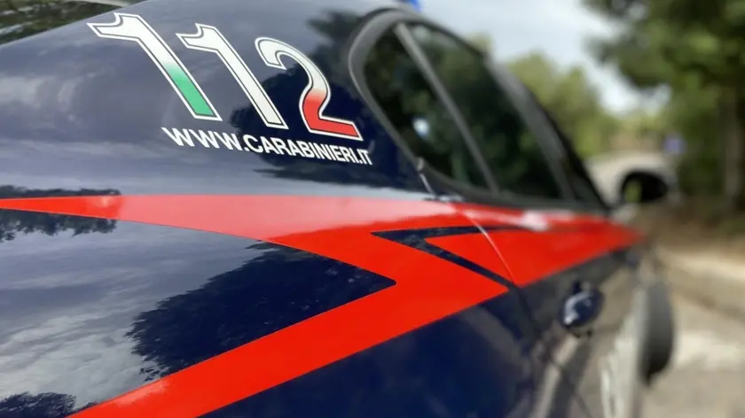 Intervenuti i carabinieri