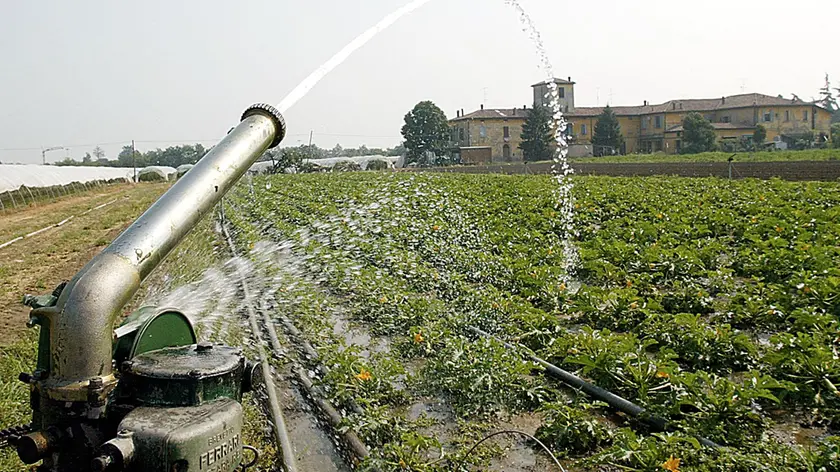 L'irrigazione sarà contingentata nell'ambito del Consorzio di Bonifica Piave
