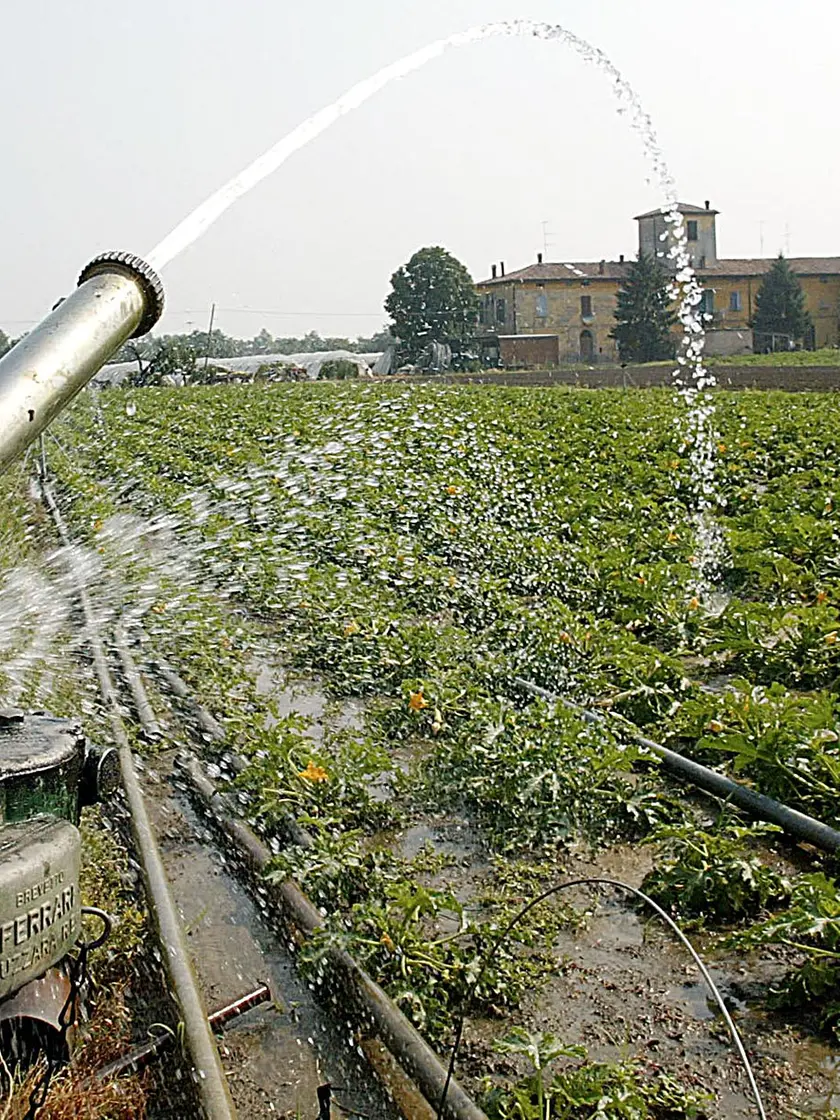 L'irrigazione sarà contingentata nell'ambito del Consorzio di Bonifica Piave
