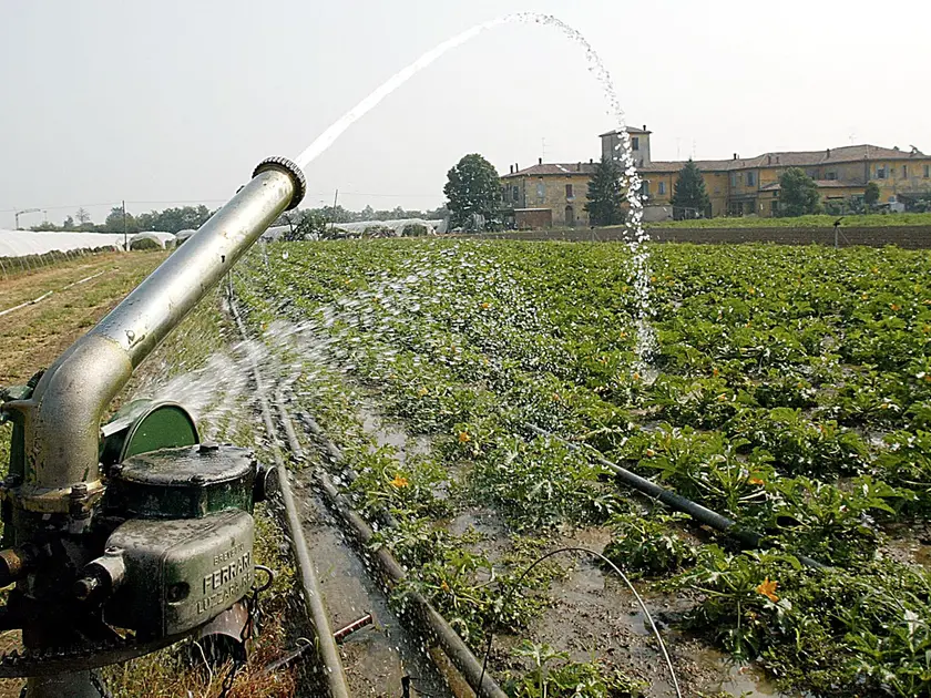 L'irrigazione sarà contingentata nell'ambito del Consorzio di Bonifica Piave