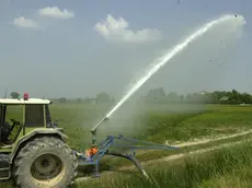Scatta il razionamento irriguo