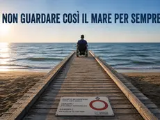 L'immagine realizzata dal consigliere Bison