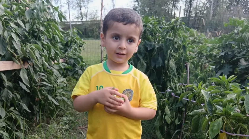 Yahya Muhammadi, morto a 3 anni dopo essere stato investito da un'auto