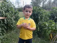Yahya Muhammadi, morto a 3 anni dopo essere stato investito da un'auto
