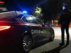 L'uomo ha allertato i carabinieri