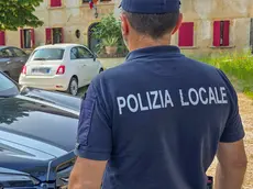 Corsa clandestina fermata dalla polizia locale di Castelfranco