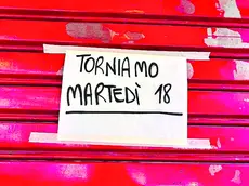 Il cartello affisso sulla serranda di un negozio in centro a Treviso