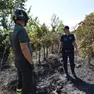 Sopralluogo di polizia e pompieri nel vigneto incendiato