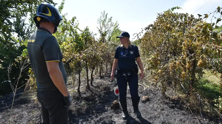 Sopralluogo di polizia e pompieri nel vigneto incendiato