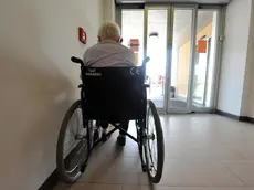 A Treviso gli over 65 sono il doppio dei giovani