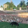 Il muro abbattuto dall'auto a San Polo di Piave