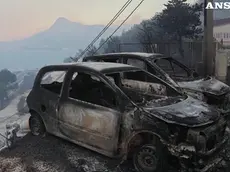 Le carcasse delle auto distrutte dall'incendio in Croazia (Ansa)