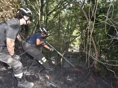 I vigili del fuoco a Collalto