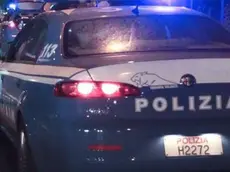 L'operazione è stata condotta dalla Squadra mobile di Belluno e dal commissariato di Conegliano