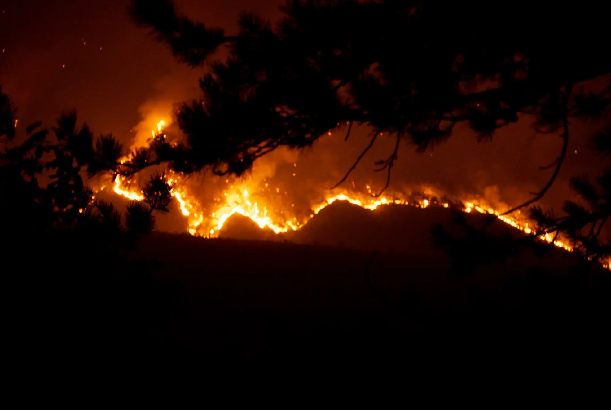 Il fuoco nella notte, il fumo di giorno. L’Amariana e l’Amarianute continuano a bruciare mentre Vigili del fuoco, Protezione civile, volontari e mezzi aerei lavorano senza sosta per contenere gli incendi. Le immagini che ci stanno arrivando in redazione, sono centinaia quelle dei lettori, raccontano ore difficili per la Carnia: boschi in fiamme, versanti coperti dal fumo e lo sguardo di chi, da valle, continua a seguire l’avanzata del fuoco.