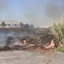 Uno degli incendi appiccati a Ceggia dal piromane