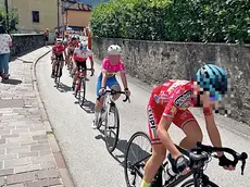 Alcuni giovani atleti in gara(da Facebook di Ciclistica Monselice)