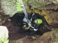 Il recupero del cucciolo da parte dei vigili del fuoco