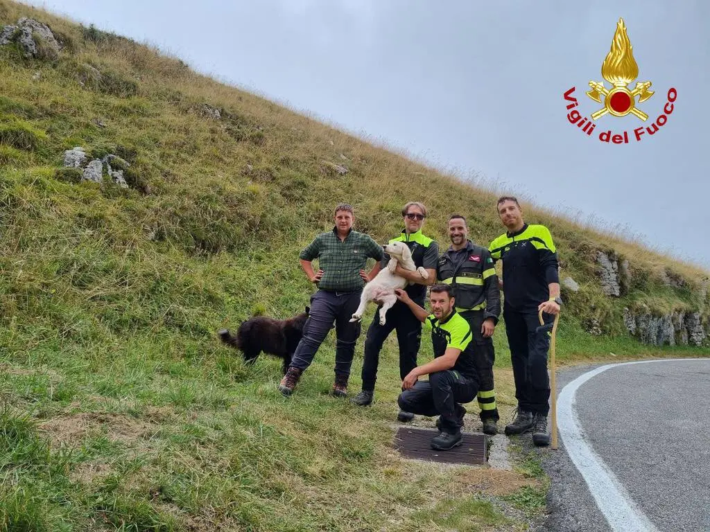 I vigili del fuoco con il cucciolo