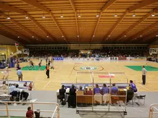 Palacicogna
