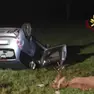 Schianto dell'automobilista con un cervo