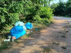 I rifiuti abbandonati a Trevignano