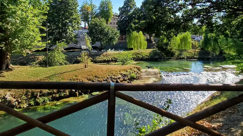 Il Sile a Treviso