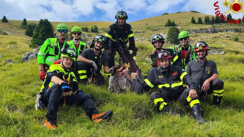 La squadra che ha salvato il cane (Credit: Vdf)