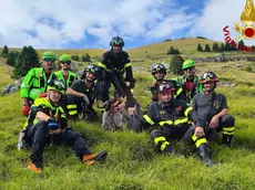 La squadra che ha salvato il cane (Credit: Vdf)