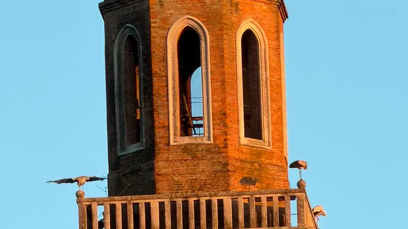 Il campanile di Negrisia di Ponte di Piave