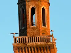 Il campanile di Negrisia di Ponte di Piave
