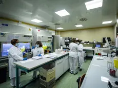 Un laboratorio di microbiologia (foto d'archivio)