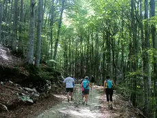 Una fotografia scattata a Pianezze