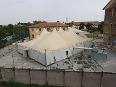 I tendoni organizzati per ospitare i richiedenti asilo