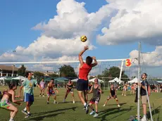 Green Volley Vedelago