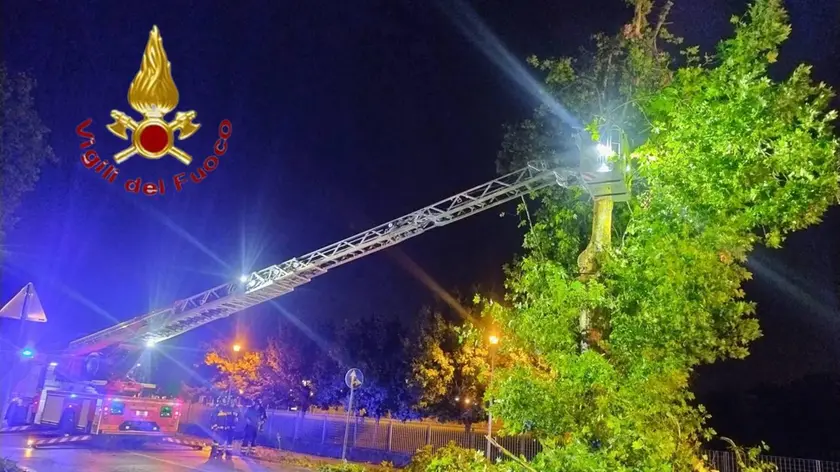 Un intervento dei vigili del fuoco nella serata di venerdì 28 agosto