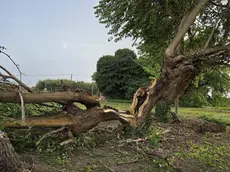 Maltempo nel Padovano