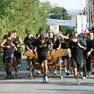 Palio del Vecchio Mercato