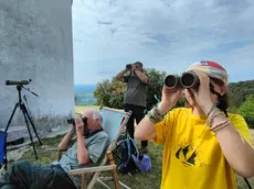 Un gruppo di appassionati con binocoli e teleobiettivi