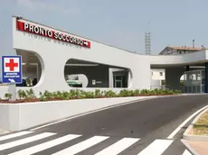 Aggredito un infermiere al Pronto soccorso di Treviso: sette giorni di prognosi