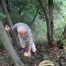 Una raccolta di funghi nel bosco