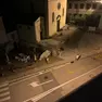 I due maranza in azione fotografati da un residente