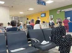 Treviso, aggredì infermiere al Ca’ Foncello: obbligo di firma per il 45enne