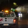 Operazioni di disinfestazione a Conegliano