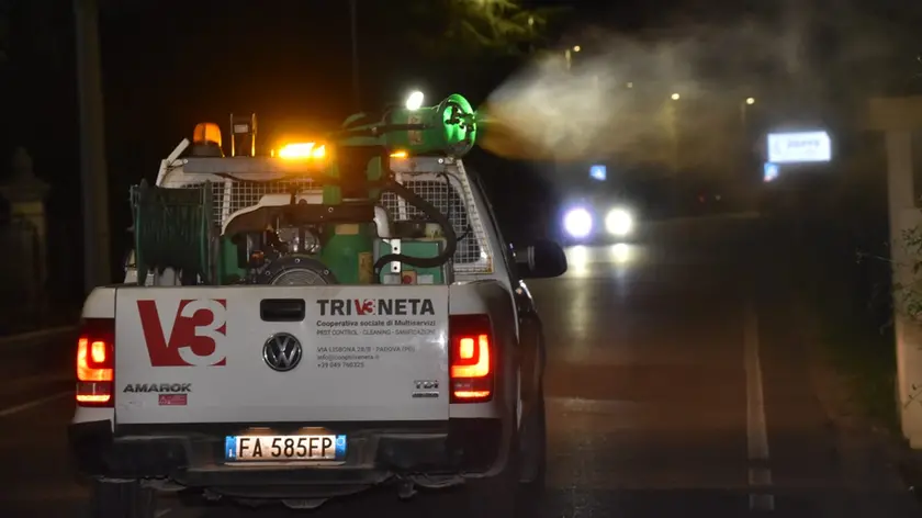Operazioni di disinfestazione a Conegliano
