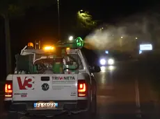 Operazioni di disinfestazione a Conegliano
