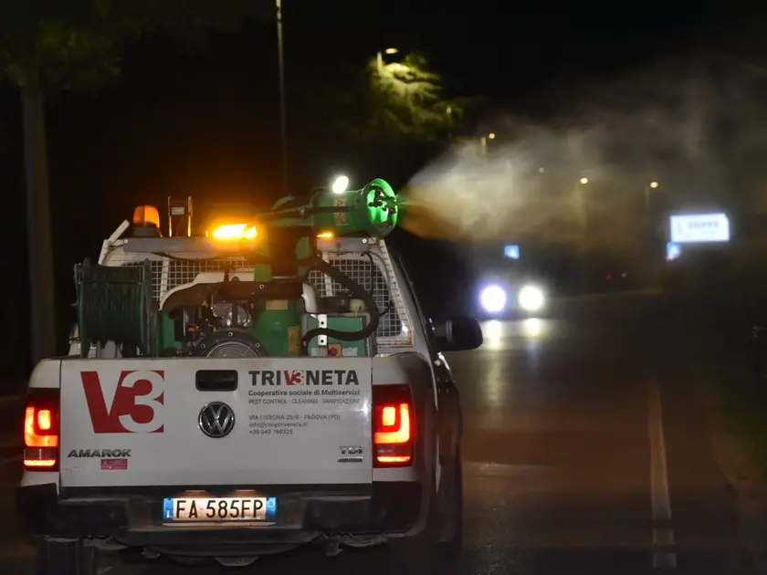 Operazioni di disinfestazione a Conegliano